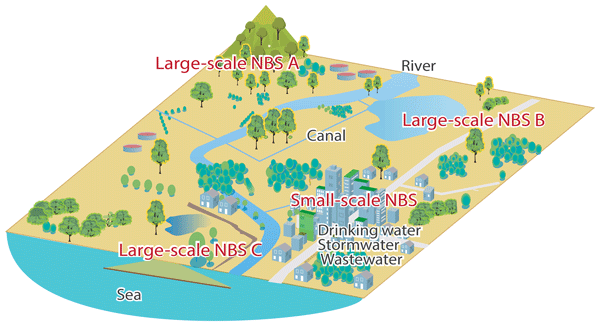 Nhess Nature Based Solutions For Hydro Meteorological Risk Reduction A State Of The Art Review Of The Research Area